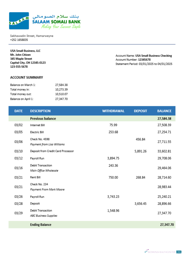 Somali Salaam Somali bank business checking account statement Word and PDF template
